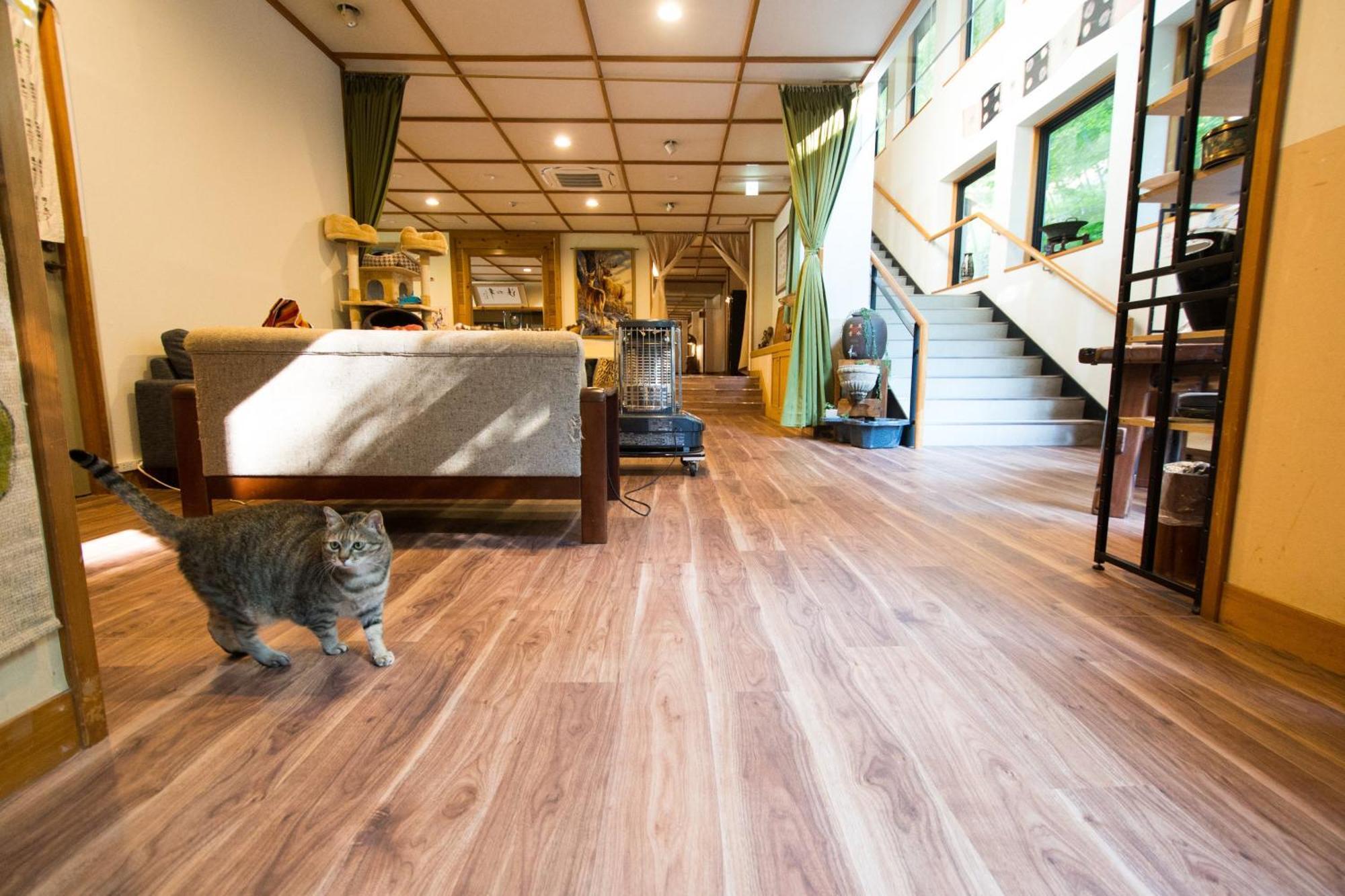 Akasawa Onsen Ryokan Nasushiobara Buitenkant foto