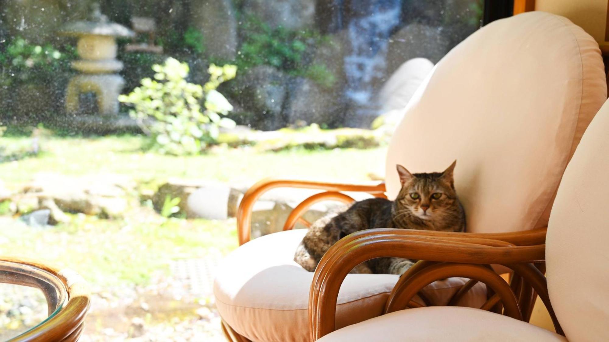Akasawa Onsen Ryokan Nasushiobara Buitenkant foto